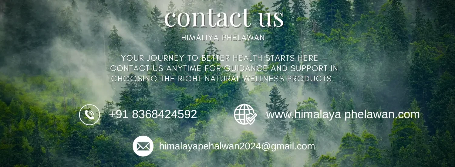 contact us